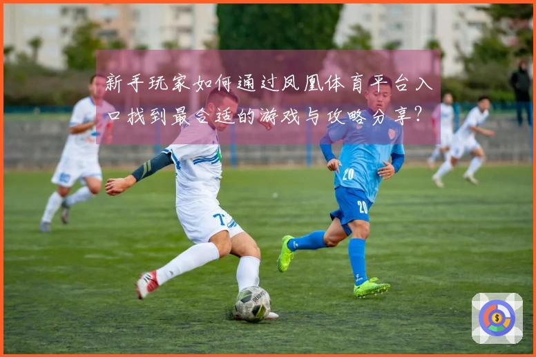 新手玩家如何通过凤凰体育平台入口找到最合适的游戏与攻略分享？