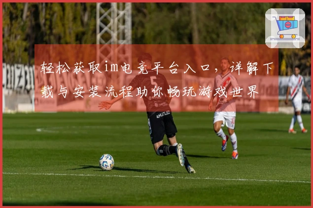 轻松获取im电竞平台入口，详解下载与安装流程助你畅玩游戏世界