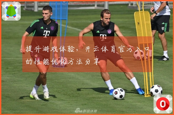 提升游戏体验，开云体育官方入口的性能优化方法分享